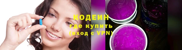 прущий лед Алзамай