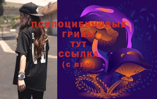 прущий лед Алзамай
